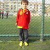 Lowen Geboren in 2005-2006-28